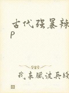 古代强暴辣文np