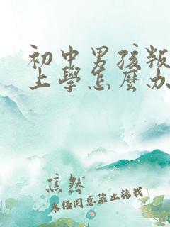 初中男孩叛逆不上学怎么办