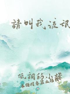 请叫我流氓