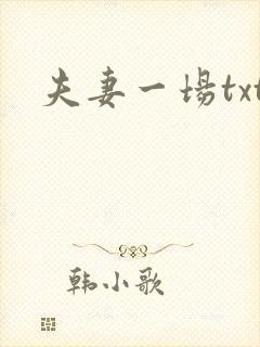 夫妻一场txt