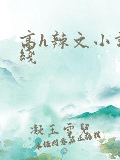 高h辣文小说在线