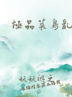 极品菜鸟乱江湖