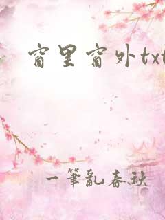 窗里窗外txt