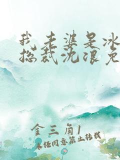 我老婆是冰山女总裁沈浪免费阅读