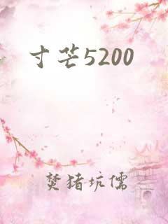 寸芒5200
