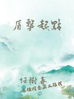 盾击起点