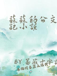 苏苏的公交车日记小说