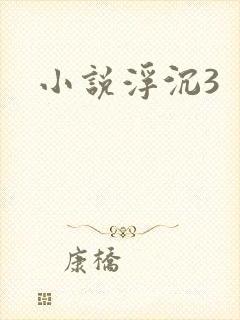 小说浮沉3