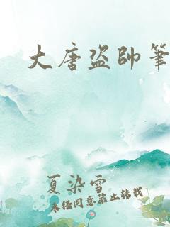 大唐盗帅笔趣阁