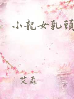小龙女乳头