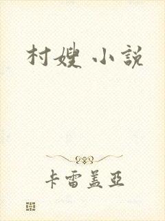 村嫂 小说