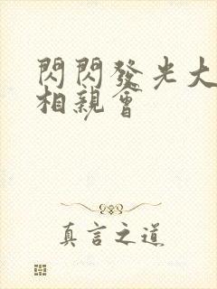 闪闪发光大团圆相亲会