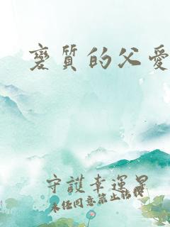 变质的父爱小说