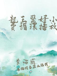 龙王医婿小说免费循环播放