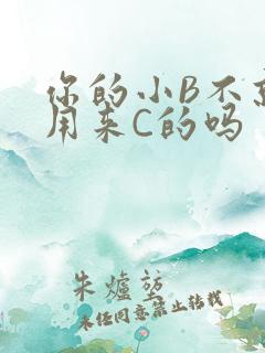你的小B不就是用来C的吗