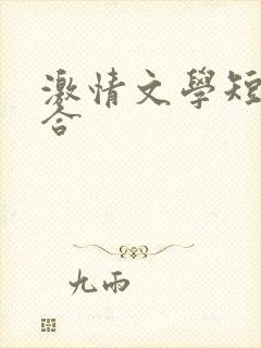 激情文学短文集合
