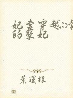 妃常穿越:冷王的孽妃