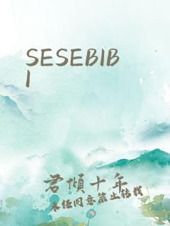SESEBIBI