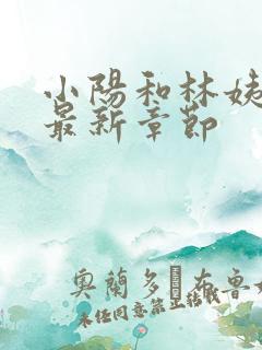 小阳和林姨小说最新章节