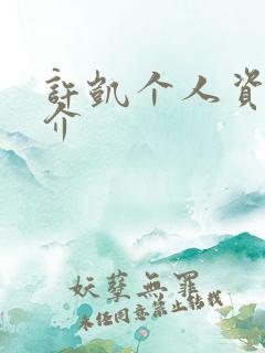 许凯个人资料简介