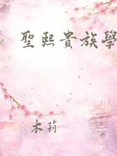 圣熙贵族学院