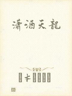 潇洒天龙
