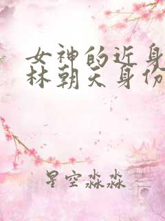 女神的近身护卫林朝天身份