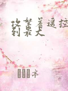 攻拿着遥控器开到最大