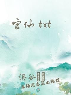 官仙 txt