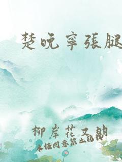 楚晚宁张腿放棋