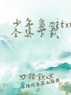 少年枭雄txt全集下载