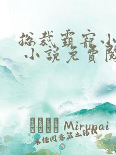 总裁霸宠小娇妻 小说免费阅读