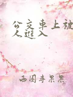 公交车上被陌生人进入