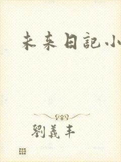 未来日记小说