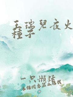 王瑞儿夜火全套种子