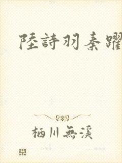 陆诗羽秦跃然