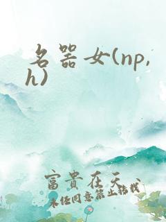 名器女(np,h)