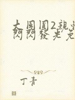 大团圆2亲情会闪闪发光免费