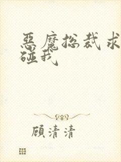 恶魔总裁求你别碰我
