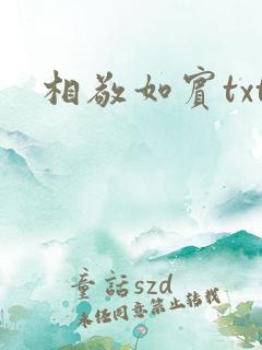 相敬如宾txt