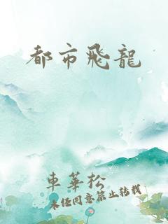 都市飞龙