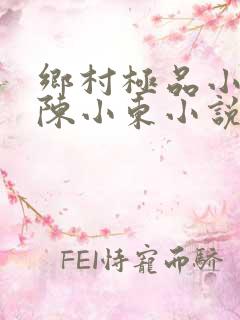 乡村极品小医仙陈小东小说在线阅读