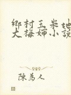 乡村玉米地小说大梅婶小说