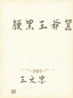 腹黑王爷嚣张妻