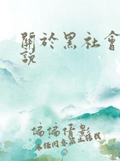关于黑社会的小说