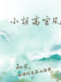 小说高官风流