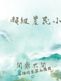 超级农民小说