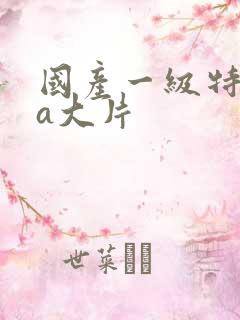 国产一级特黄aa大片
