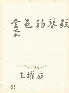 金色的琴弦第二季