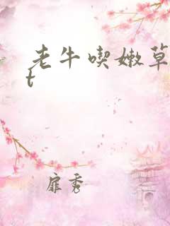老牛吃嫩草txt